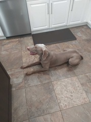 SAVE 20211007 194750