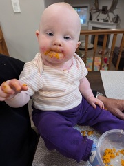 PXL 20240908 220916650