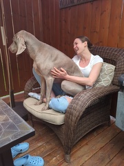 0a580425-e501-4006-bffb-f795e2fc3fb2